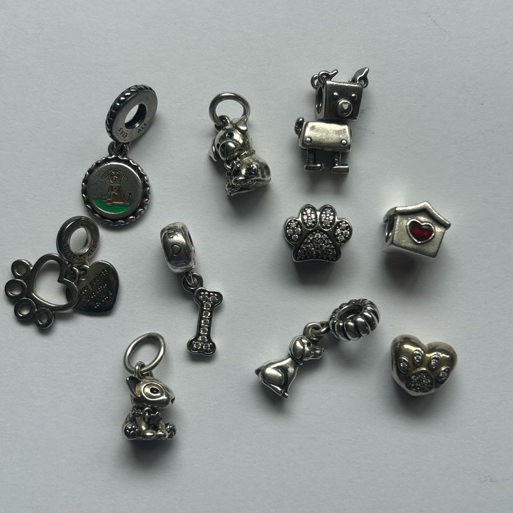 Pandora Retired Dog Charm Bundle Lot Labrador Terrier Paw Print Bobby Bot S925